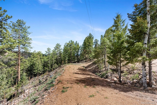 188 Lark Ln, Bailey, CO 80421