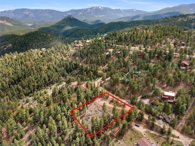 188 Lark Ln, Bailey, CO 80421