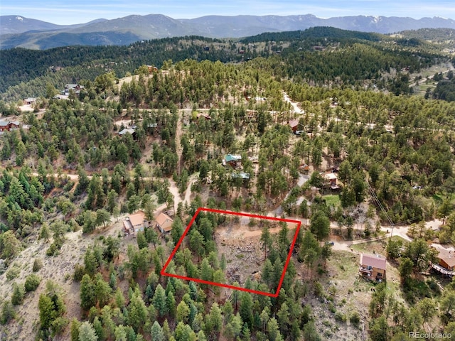 188 Lark Ln, Bailey, CO 80421