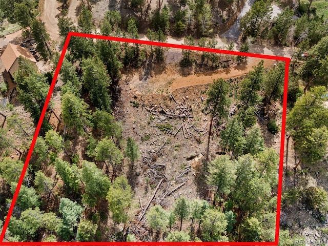 188 Lark Ln, Bailey, CO 80421