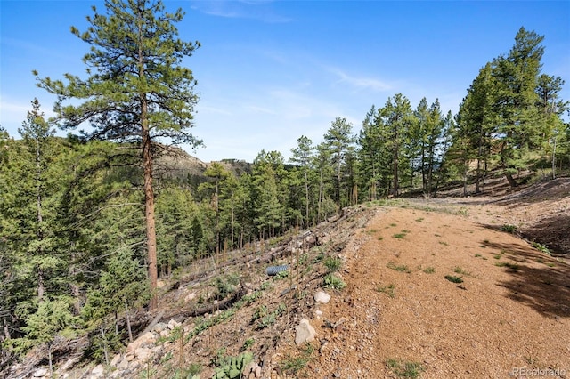 188 Lark Ln, Bailey, CO 80421