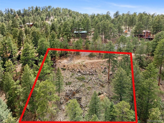 188 Lark Ln, Bailey, CO 80421