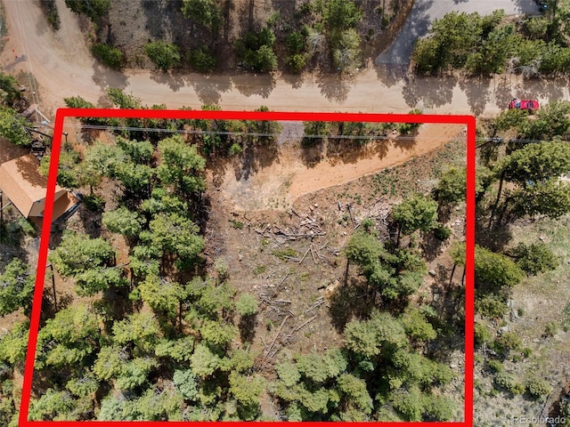 188 Lark Ln, Bailey, CO 80421