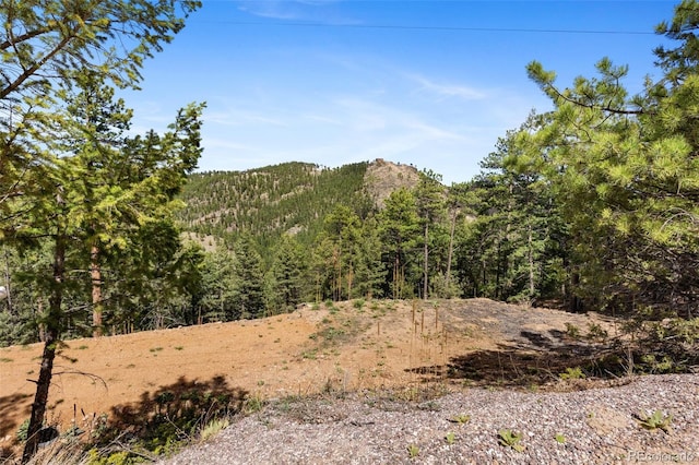 188 Lark Ln, Bailey, CO 80421