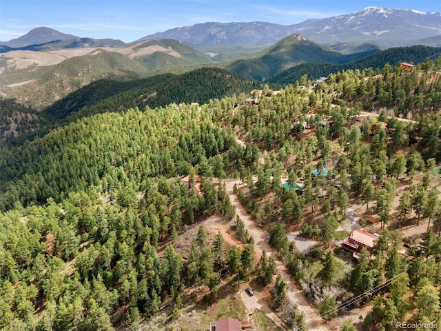 188 Lark Ln, Bailey, CO 80421