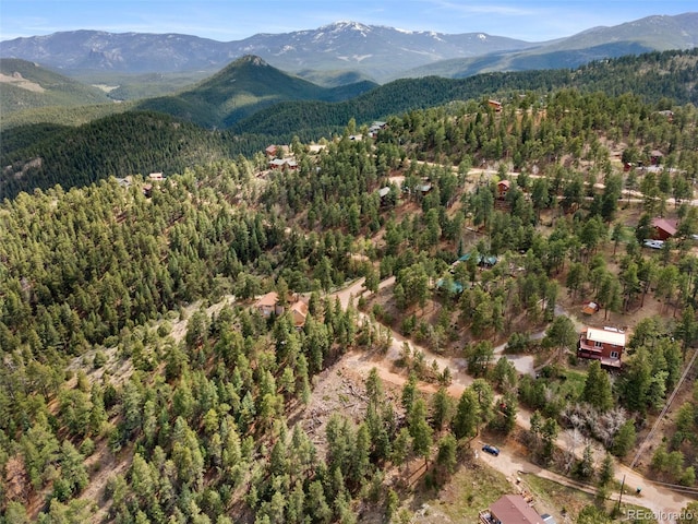 188 Lark Ln, Bailey, CO 80421