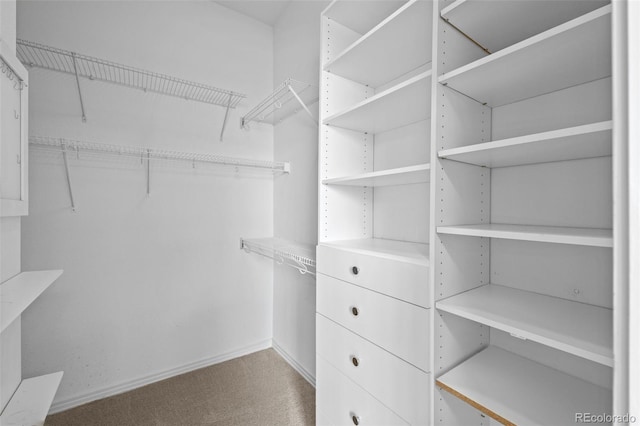 walk in closet featuring carpet flooring