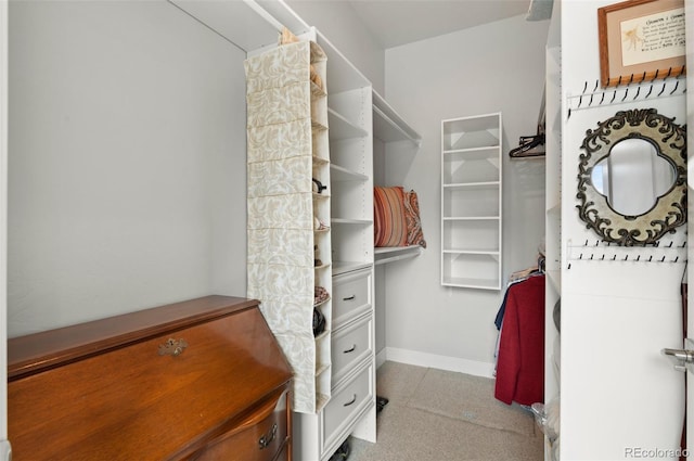 view of spacious closet