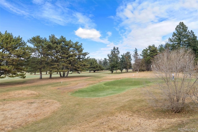 view of property's community with a lawn