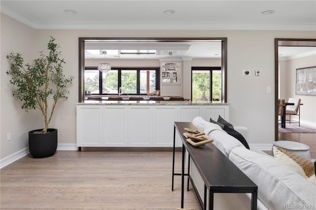 living room with crown molding and light hardwood / wood-style flooring