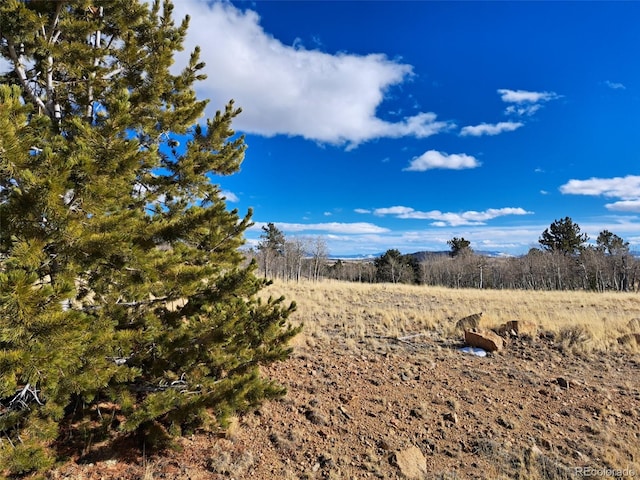 560 Raven Way, Como CO, 80432 land for sale