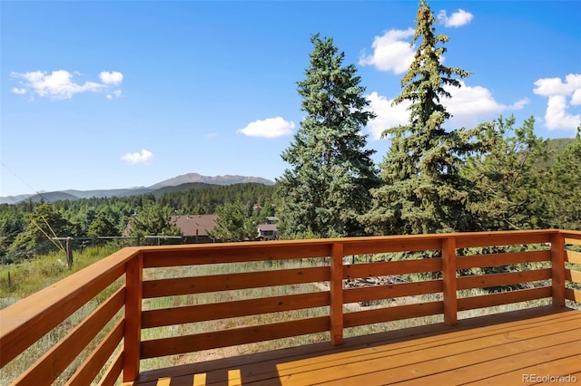 305 W Dewell Rd, Woodland Park, CO 80863 - photo 4