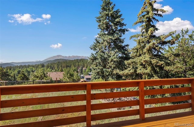 305 W Dewell Rd, Woodland Park, CO 80863 - photo 6