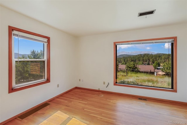 305 W Dewell Rd, Woodland Park, CO 80863 - photo 19
