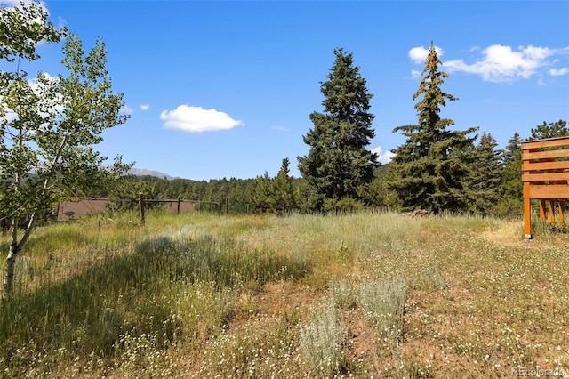 305 W Dewell Rd, Woodland Park, CO 80863 - photo 32