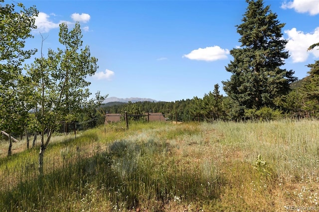 305 W Dewell Rd, Woodland Park, CO 80863 - photo 33