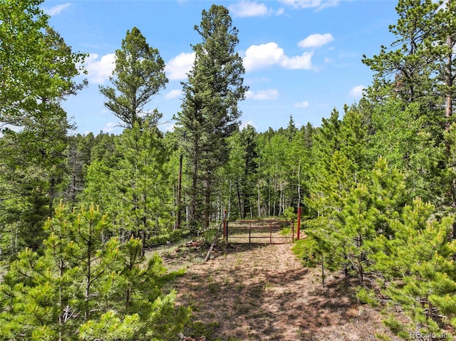 65 Spruce Creek Rd, Divide, CO 80814 - photo 1