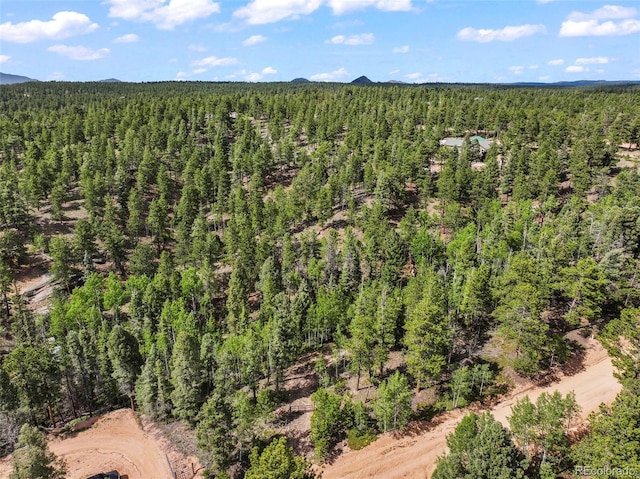 65 Spruce Creek Rd, Divide, CO 80814 - photo 2