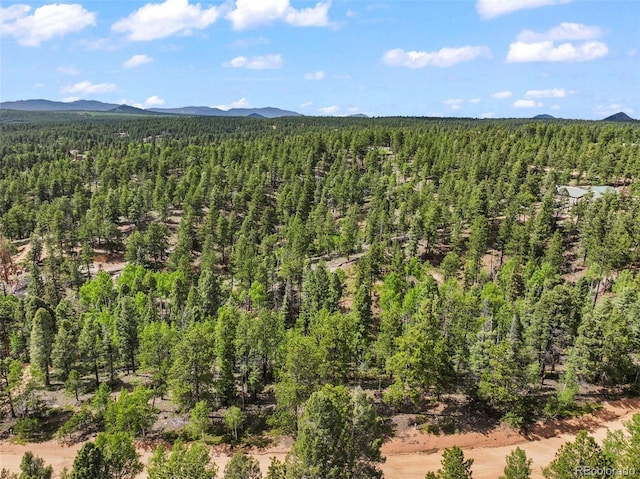 65 Spruce Creek Rd, Divide, CO 80814 - photo 3