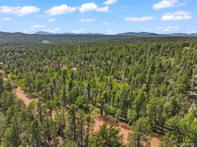 65 Spruce Creek Rd, Divide, CO 80814 - photo 4