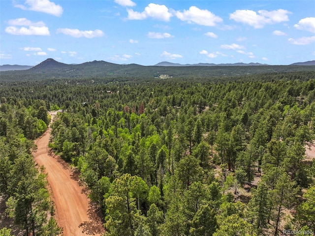 65 Spruce Creek Rd, Divide, CO 80814 - photo 5