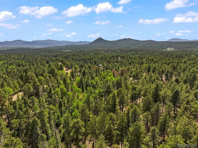 65 Spruce Creek Rd, Divide, CO 80814 - photo 6