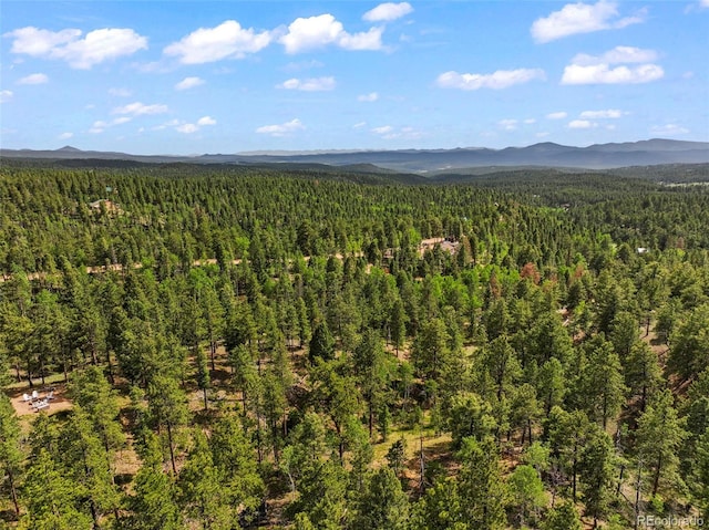 65 Spruce Creek Rd, Divide, CO 80814 - photo 7