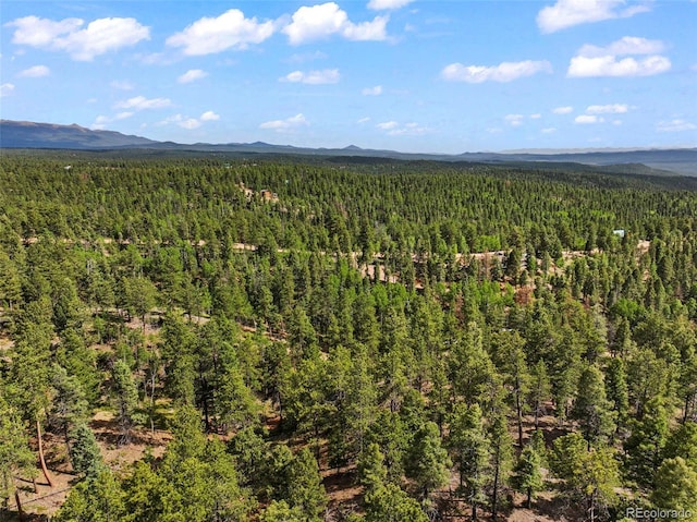 65 Spruce Creek Rd, Divide, CO 80814 - photo 8
