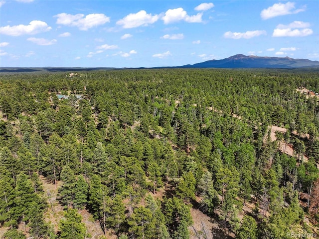 65 Spruce Creek Rd, Divide, CO 80814 - photo 9