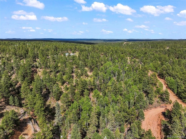 65 Spruce Creek Rd, Divide, CO 80814 - photo 10
