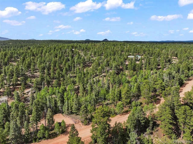 65 Spruce Creek Rd, Divide, CO 80814 - photo 11