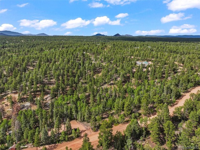 65 Spruce Creek Rd, Divide, CO 80814 - photo 12
