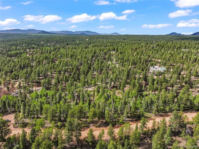 65 Spruce Creek Rd, Divide, CO 80814 - photo 13