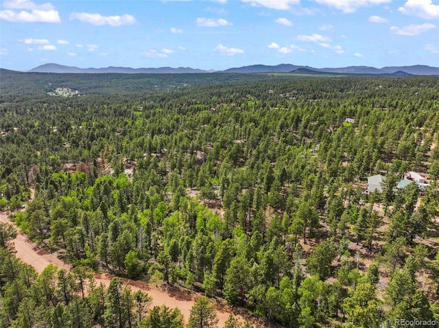 65 Spruce Creek Rd, Divide, CO 80814 - photo 14