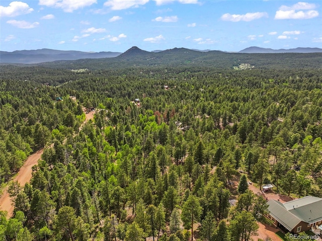65 Spruce Creek Rd, Divide, CO 80814 - photo 15