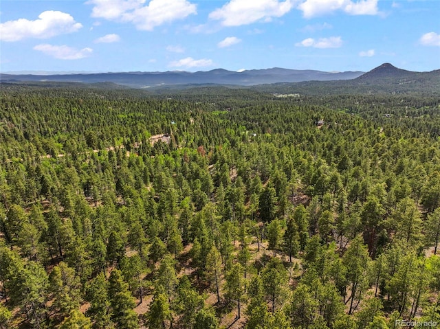 65 Spruce Creek Rd, Divide, CO 80814 - photo 16