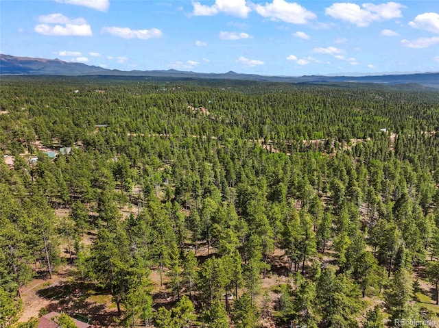 65 Spruce Creek Rd, Divide, CO 80814 - photo 17