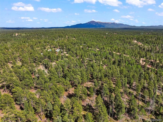 65 Spruce Creek Rd, Divide, CO 80814 - photo 18