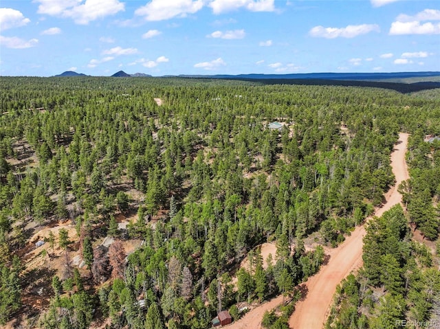 65 Spruce Creek Rd, Divide, CO 80814 - photo 20