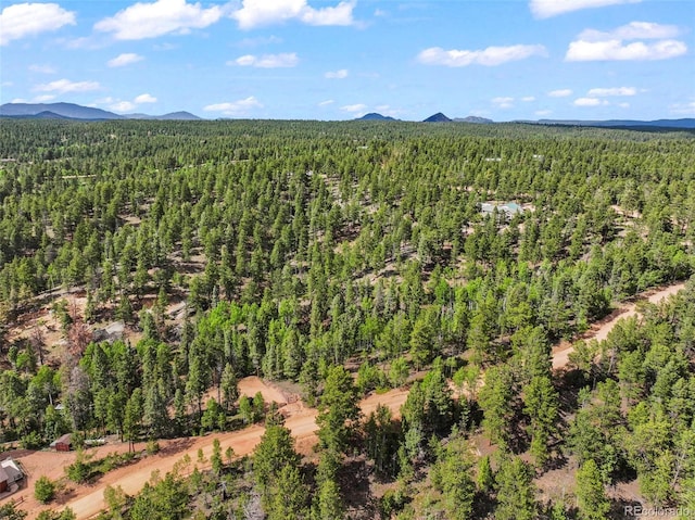 65 Spruce Creek Rd, Divide, CO 80814 - photo 21
