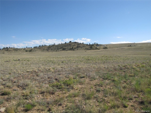 0 Chickasaw, Hartsel, CO 80449 - photo 6