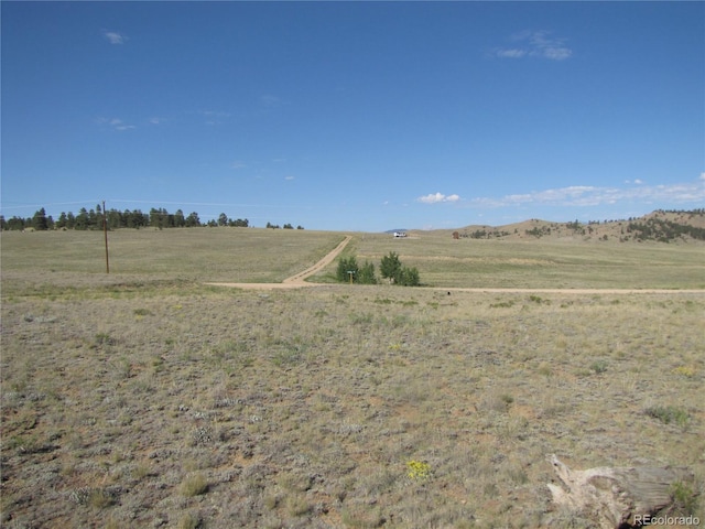 0 Chickasaw, Hartsel, CO 80449 - photo 10