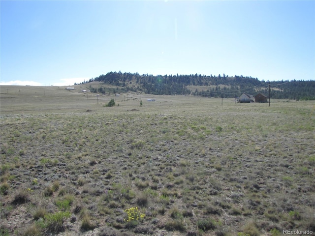 0 Chickasaw, Hartsel, CO 80449 - photo 11