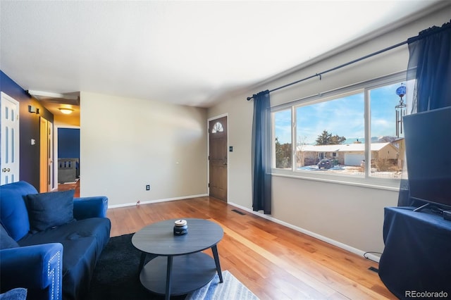 living room featuring wood-type flooring