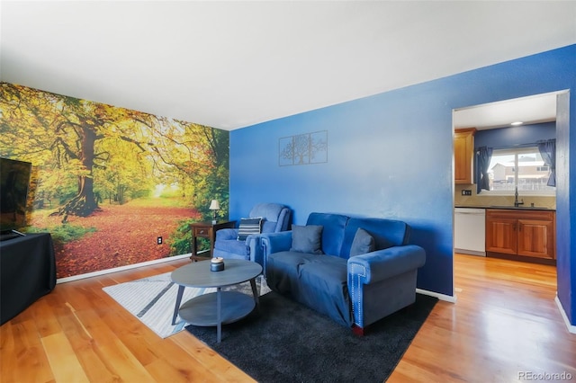 living room featuring light hardwood / wood-style flooring and sink