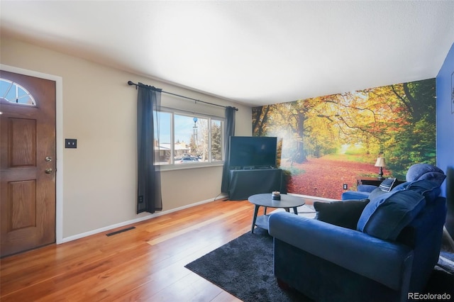 living room featuring hardwood / wood-style floors