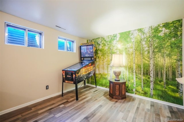 playroom with hardwood / wood-style floors