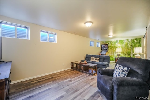 living room featuring hardwood / wood-style floors