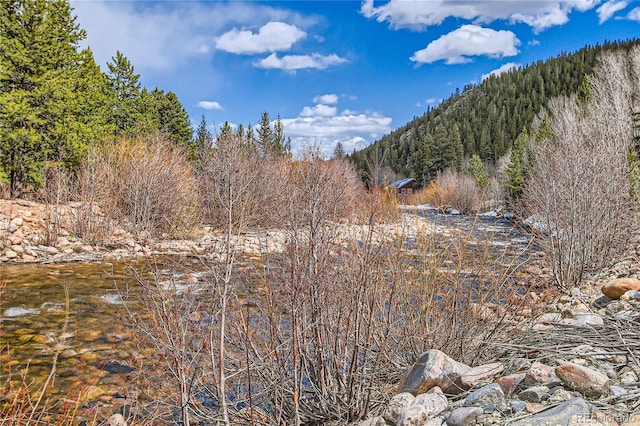 1350 Tolland Rd, Rollinsville, CO 80474 - view of landscape with a mountain view and a wooded view