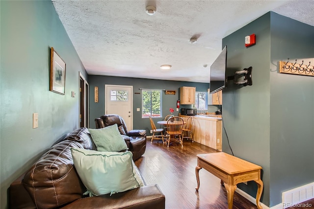 1350 Tolland Rd, Rollinsville, CO 80474 - living room with a textured ceiling, visible vents, and dark wood-type flooring